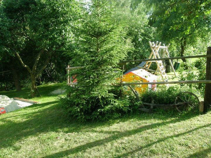 U Kohouta Apartman Podkost Kültér fotó