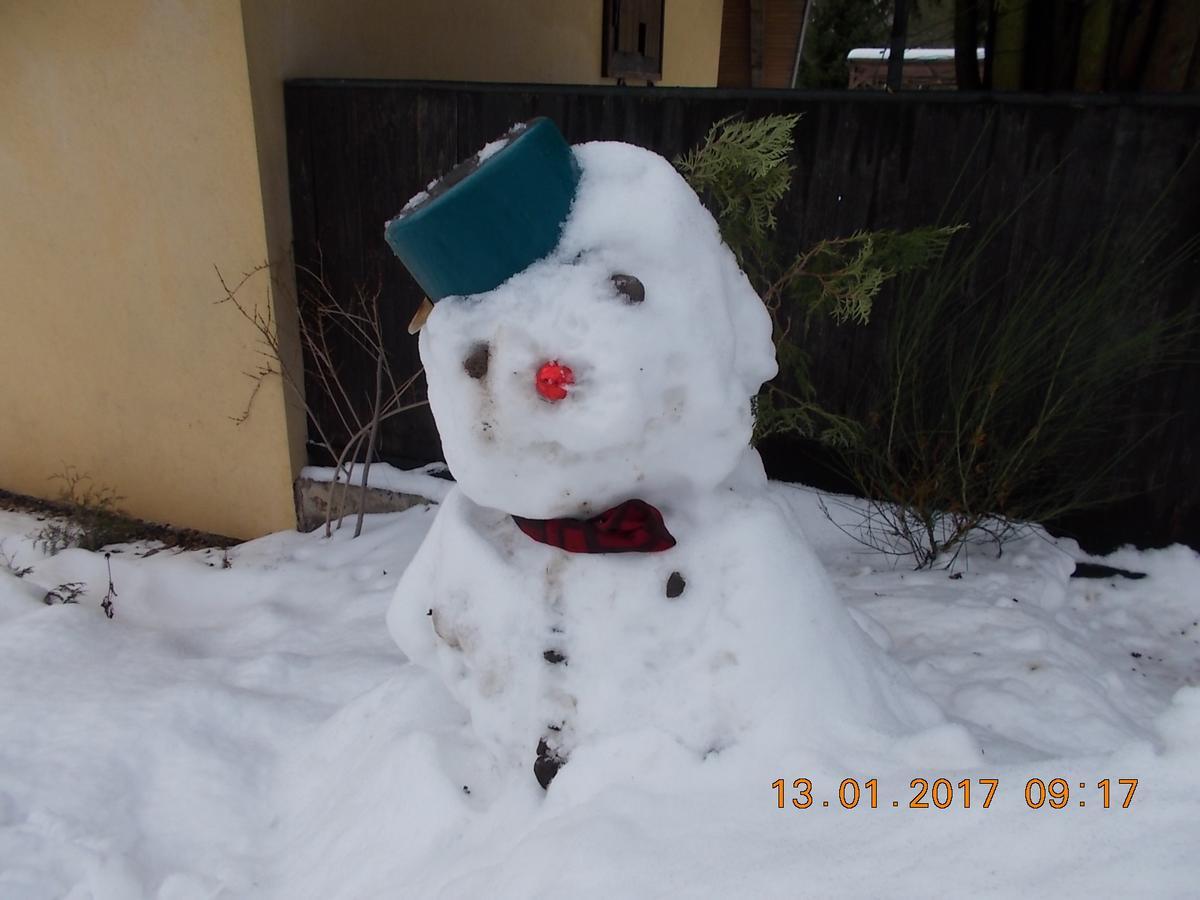 U Kohouta Apartman Podkost Kültér fotó